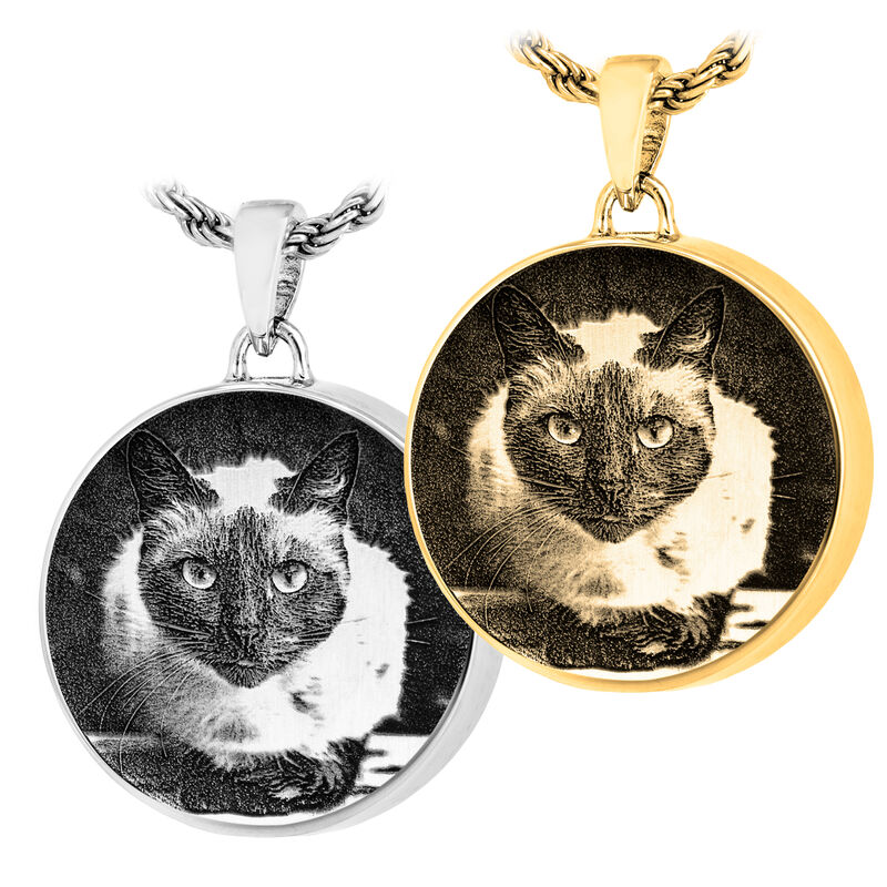Pet Round
