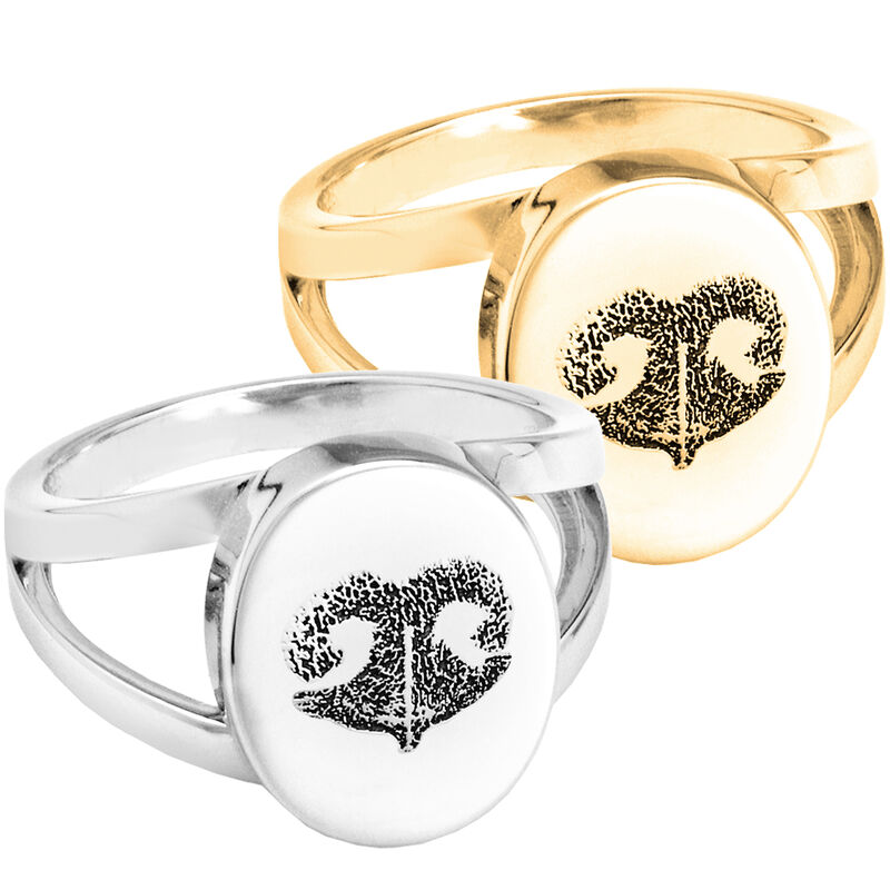 Pet V-Ring