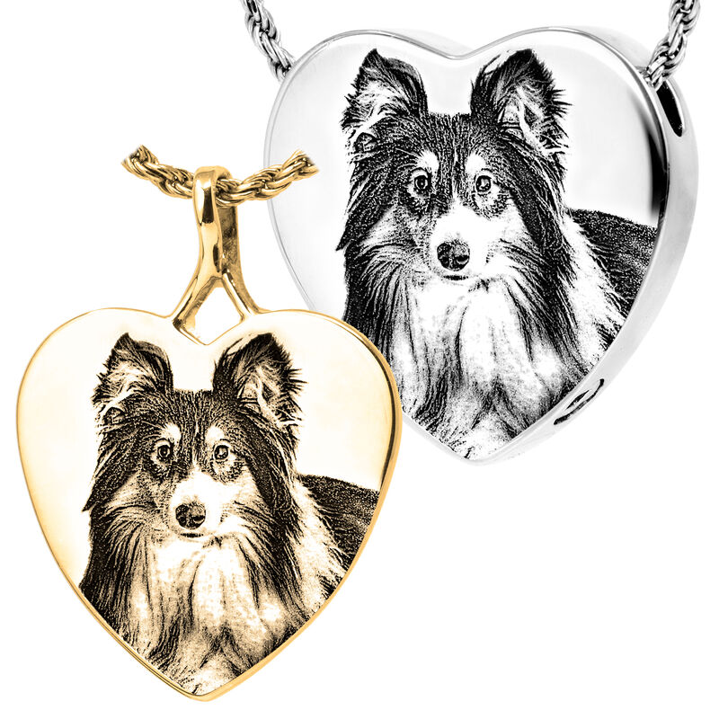 Pet Heart