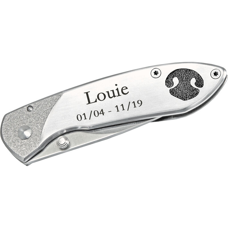 Stainless Steel Buck&reg; knife