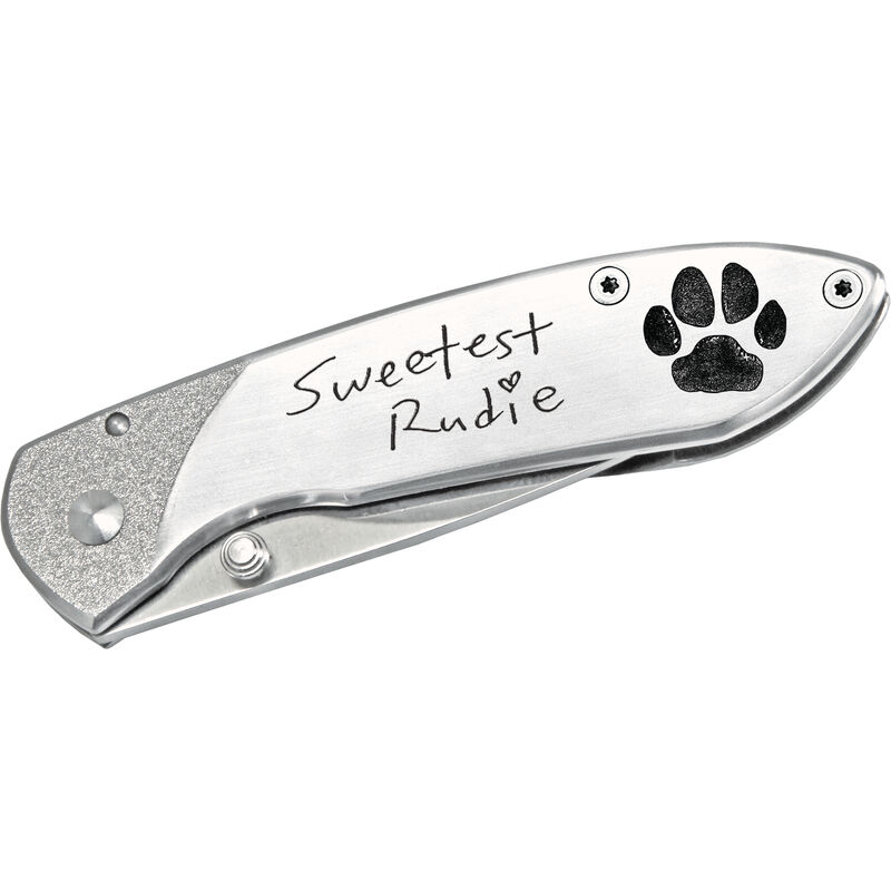 Stainless Steel Buck&reg; knife