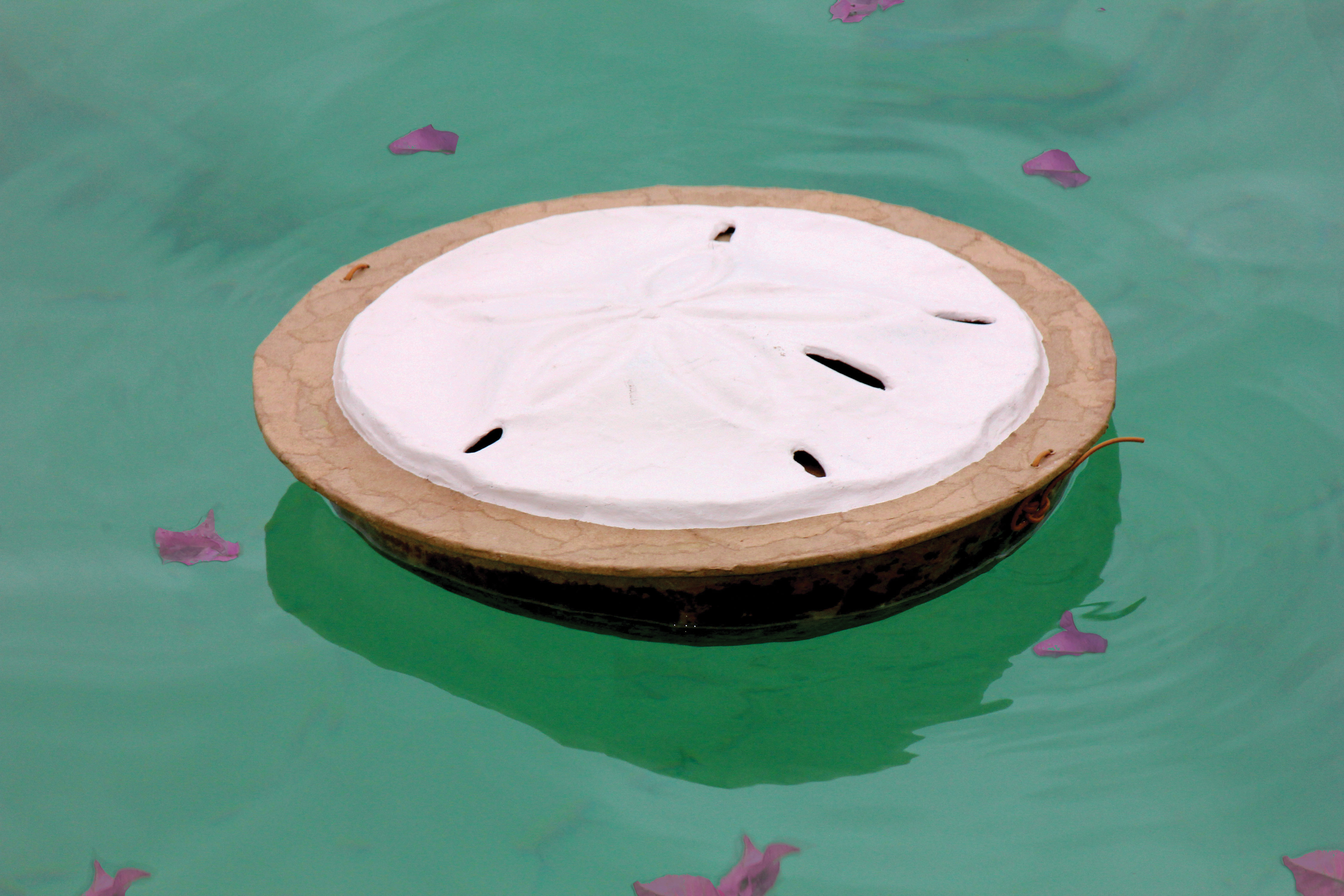 Sand Dollar Urn