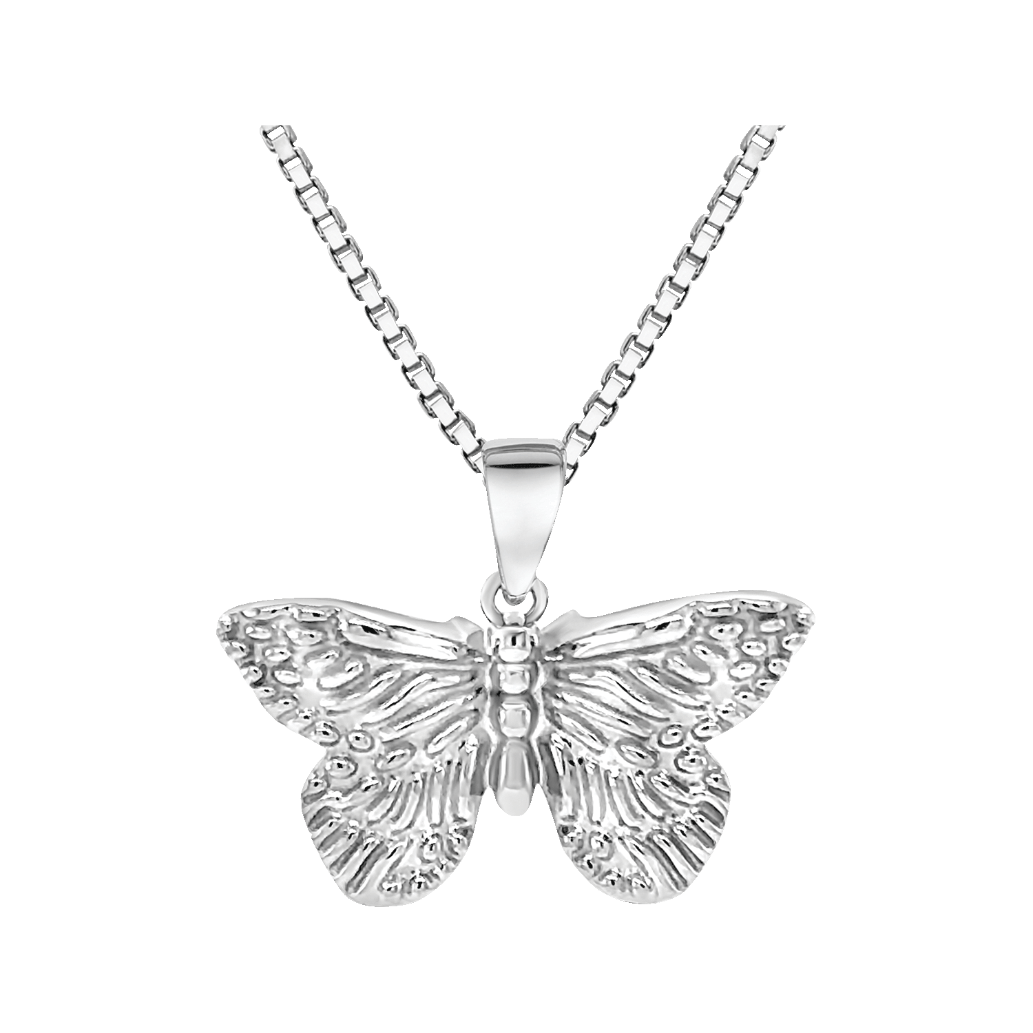 Butterfly, , large image number null