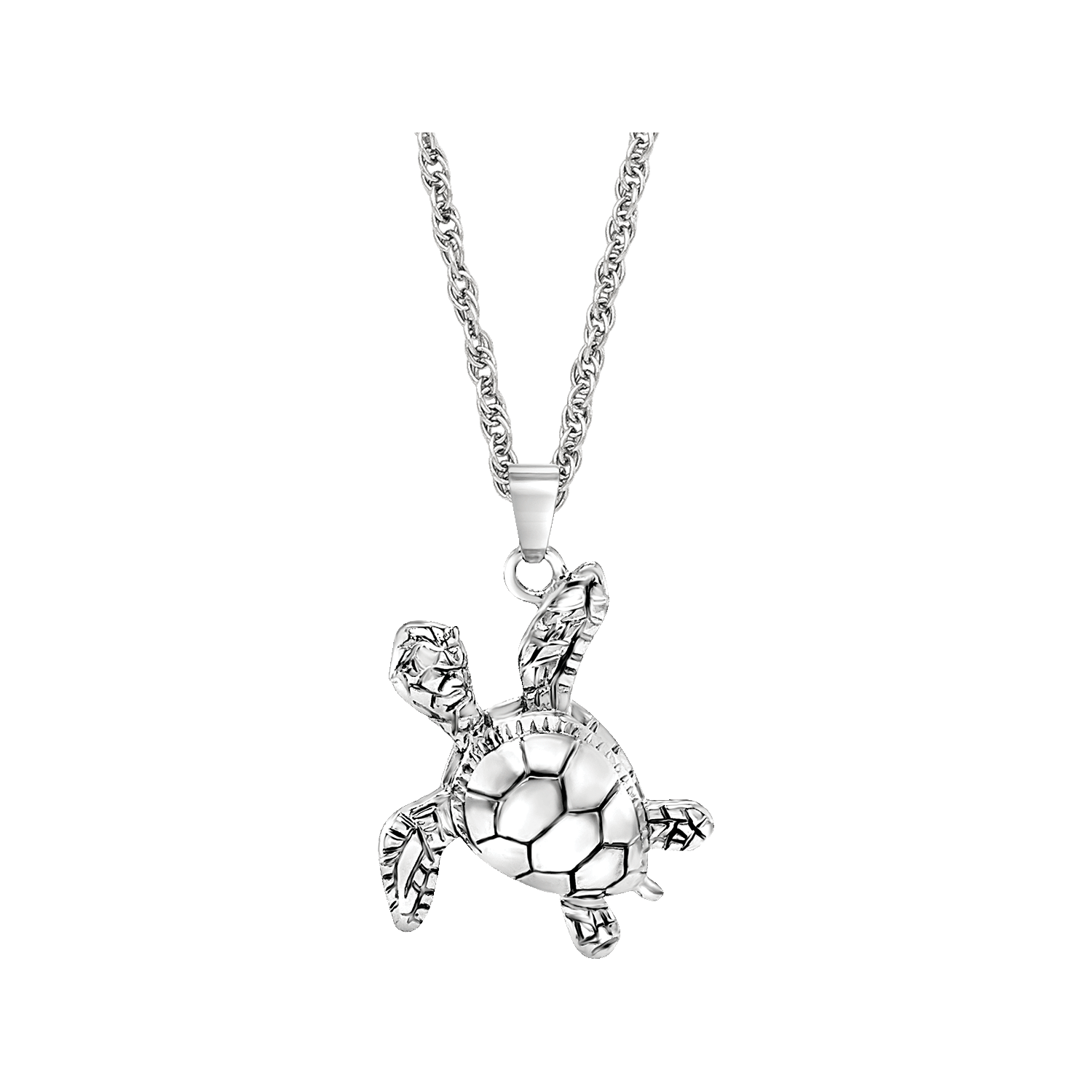 Turtle, , large image number null